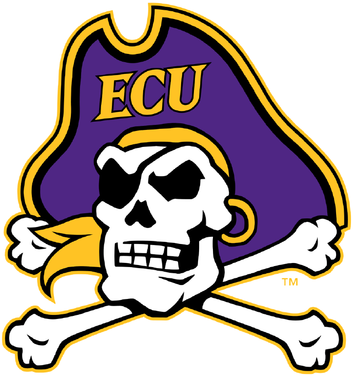 East Carolina Pirates 2014-Pres Primary Logo iron on transfers for T-shirts...